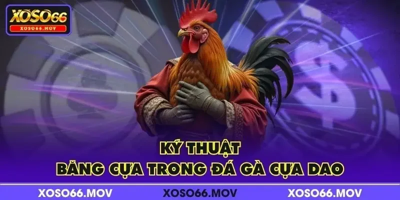 Kỹ thuật băng cựa trong đá gà cựa dao