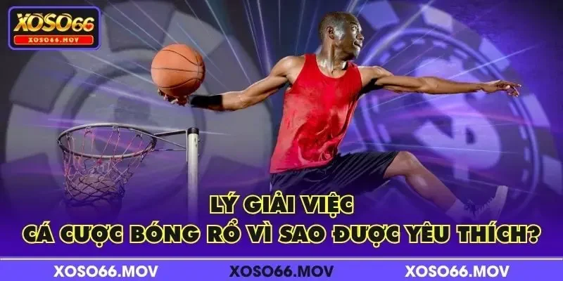 Lý giải việc cá cược bóng rổ vì sao được yêu thích?