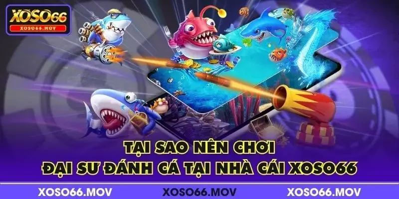 Tại sao nên chơi Đại Sư Đánh Cá tại nhà cái XOSO66